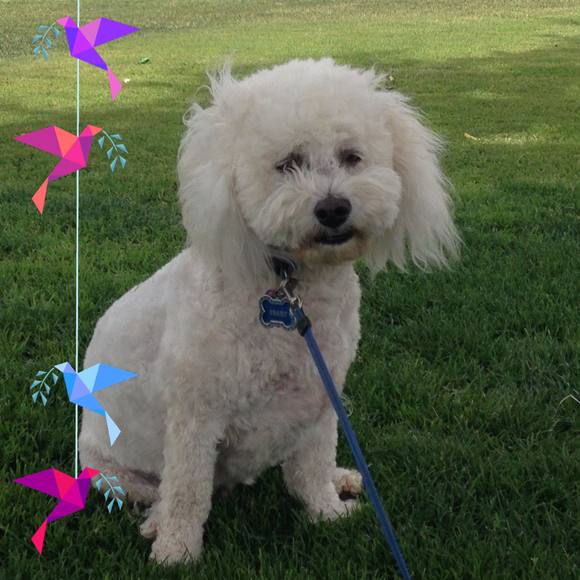 Meet your Posher, Loretta - Picture 1 of 1